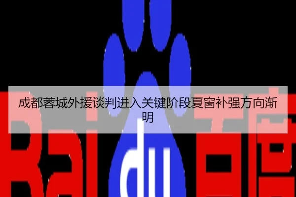 成都蓉城外援谈判进入关键阶段夏窗补强方向渐明